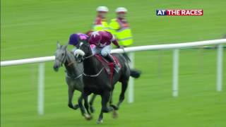 Punchestown highlights 12th October 2016 [upl. by Zanze]