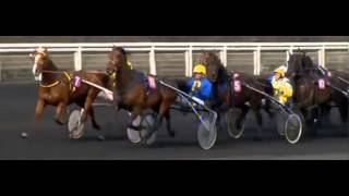 Prix Du Bois De Vincennes 2013Le Cannibale 1137F Nivard [upl. by Haraj]