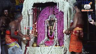 Sirkali Sri Muthu Sattainathar Swamy uthsavam 2024 [upl. by Bbor]