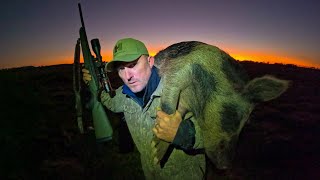 Building a huge Wild Boar Trap Catch Clean Cook Feral Hogs are Taking OVER the Ranch [upl. by Ppik]