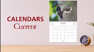 Current Wall Calendars [upl. by Estele396]