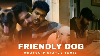 💓😍ungaluku⚡🐶 dog🦮🔥 na romba pudikuma whatsapp status tamil  dog😘🐕 lovers whatsapp status in tamil [upl. by Obed]