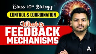 What is Feedback Mechanisms  Control amp Coordination  Class 10 Biology Chapter 2 [upl. by Ainevul798]