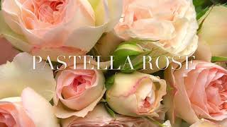 very flourishing Pastella Rose and Glyndebourne Rosetwo roses with a thousand shades [upl. by Ylen]