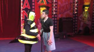 Circus Hilarious  Hippodrome Circus  Bee Routine [upl. by Celeski276]