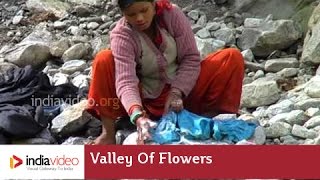 Pushpavathi River Washing Clothes  Valley Of Flowers  Uttarakhand [upl. by Dow]