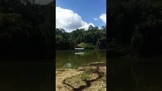 The Kuranda Riverboat Still Water Cruises [upl. by Naejamron708]