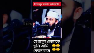 হে রাসূল তোমাকে ভুলি আমি কেমন করে islamicshorts mijanurrahmanajhari foryou 1million tending [upl. by Lalad]