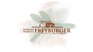 Vidéo de présentation Domaine Freyburger Marcel à Ammerschwihr [upl. by Siouxie]