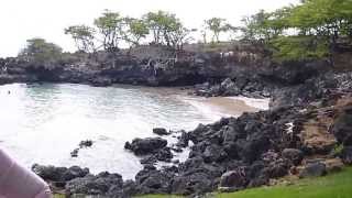 Hollys HawaiiSecret cove on Hapuna Beach state park [upl. by Hotze]