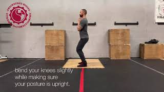 Standing TSpine Mobility amp Spine Circles [upl. by Odraude]