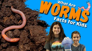 Earthworm Facts For Kids  All About Worms [upl. by Nywde936]