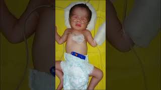 New Born Baby nicubabycare newborn viralvideo ytshorts [upl. by Arised]