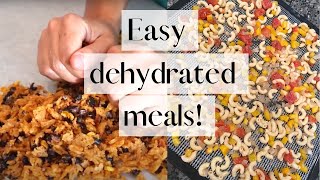 Quick Dehydrated Meals  Prepper Food made in Your Own Kitchen  DIY Camping Food [upl. by Raymond]