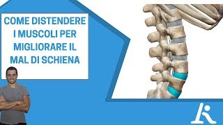 STABILIZZAZIONE VERTEBRALE è giusto fare esercizi post chirurgia [upl. by Aidam]