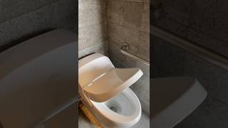 TOTO Review Best Washlet Toilet Bidet Warm Seat Bathroom Design Ideas Redesign Toilet Seat WC Inspo [upl. by Eanej]