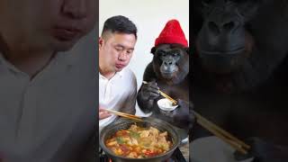 Handsome guy and orangutan eat hot pot together [upl. by Killam]