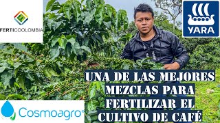 Una De Las Mejores Mezclas De fertilizantes Para Aumentar El Cargue Nuestro Cultivo De Café [upl. by Gwenneth]