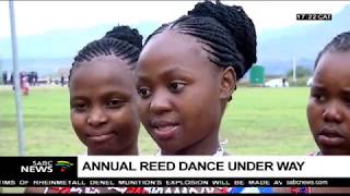 Thousands of maidens attend the annual Reed Dance [upl. by Pittman]