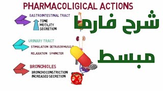 parasympathomimetic drugs acetylcholine cholinergic receptors شرح فارما مبسط 💊 [upl. by Eastman]