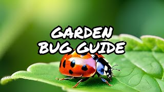 Discovering Common Garden Bugs A Guide [upl. by Kimmie]