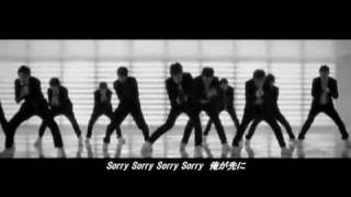 쏘리 쏘리SORRY SORRY  SuperJunior日本語字幕・MV [upl. by Adnawot]