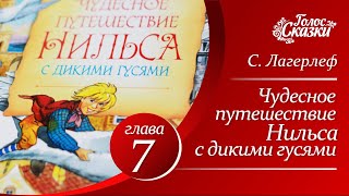 Чудесное путешествие Нильса с дикими гусями Сельма Лагерлеф  Глава 7  Аудиосказка для детей [upl. by Aba]