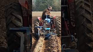 McCormick International B275 at Southwell Ploughing Match  Saturday 9th March 2024 [upl. by Nhaj749]