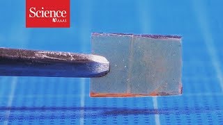 This new material heals—not cracks—under pressure [upl. by Ardnaeel94]