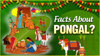 Interesting Facts amp Importance About Pongal  The Indian Harvest Festival  Pongal Festival 2022 [upl. by Stuckey34]