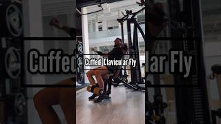 Cuffed Clavicular Fly exercisetips exercisetutorial upperchest [upl. by Melva]