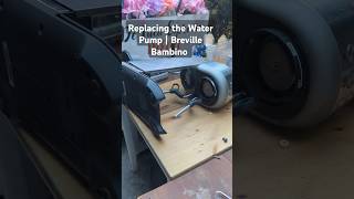 Water pump Replacement  Breville Bambino delucaespressorepair breville [upl. by Ric]