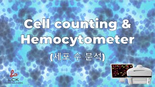 LCK Cell counting amp Hemocytometer 세포 수 분석 [upl. by Annaegroeg]