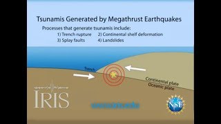 Tsunamis Generated by Megathrust Earthquakes [upl. by Batha173]