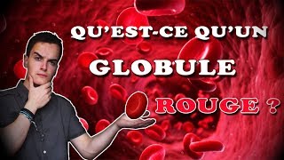 QUESTCE QUUN GLOBULE ROUGE [upl. by Rfinnej]