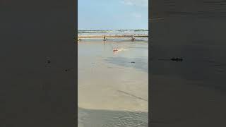 Ganga River News Over Flow gangariver haridwar weatherupdate ganpativisharjan ganpatibappamorya [upl. by Nerte]