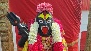 🚩🔱🙏Maa Aghorakali Abhishekam 🔴Live Darshan 🕉️🙏🔱🚩 [upl. by Ttekcirc62]