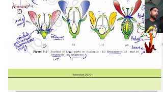 Morphology of flowering plants part 4  Class 11  The Flower  NEET [upl. by Rosabella]