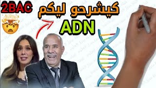 La nature de linformation génétique Partie 7 2BACSVTSPC طبيعة الخبر الوراثي ثانية بكالوريا [upl. by Consuela]