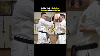 Okinawa Karate Block and Attack Training [upl. by Mattah979]