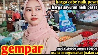 harga cabe hari ini naiksayuran gmparusaha menguntukan jualan cabe5 des 2024 [upl. by Eseekram]