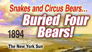 Buried Four Circus Bears [upl. by Bax]