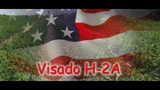 Página que contrata para visa h2a 🇺🇸 COMO REGISTRARTE EN LABORMEX [upl. by Woodberry]