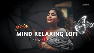 💕Mind Relaxing Songs 2024  Mind Relax Lofi Mashup 2024  Mind Relaxing Music  Malivanshi0008 [upl. by Duong]