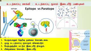 Antigen  Antibody Immunology Tamil Part 3 [upl. by Kellen884]