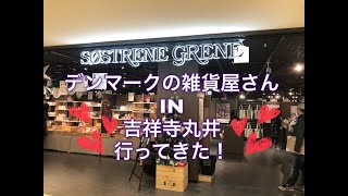 クラフト用品も激安！ソストレーネ・グレーネに行ってきた SOSTRENE GRENES in TOKYO [upl. by Yeuh]