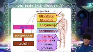 HKDSE Biology Basic Genetics Part 1 [upl. by Aikmat]