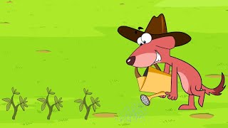 Rat A Tat  Farm House Adventure  Funny Animated Cartoon Shows For Kids Chotoonz TV [upl. by Godric]