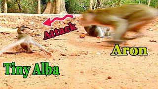 Very bad situation Alba is heavily attacked by Aron Tiny Alba is very scare [upl. by Lirrehs]