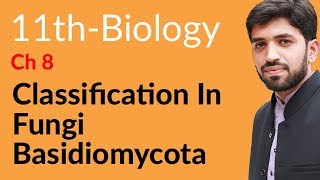 FSc Biology Book 1 Ch 8  Define Basidiomycota  11th Class Biology [upl. by Gabrielle]